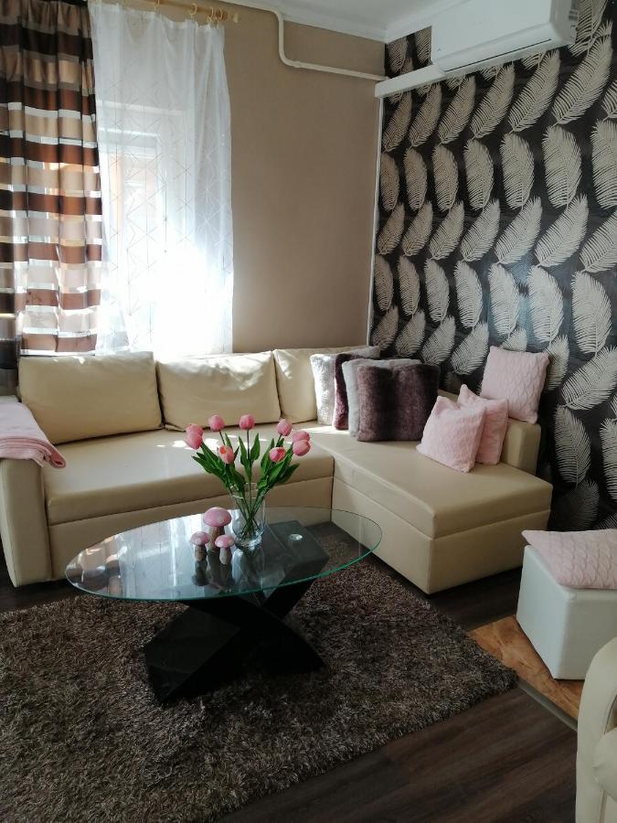 Erna Apartman زلاكاروس المظهر الخارجي الصورة